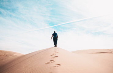 Journey through the Desert