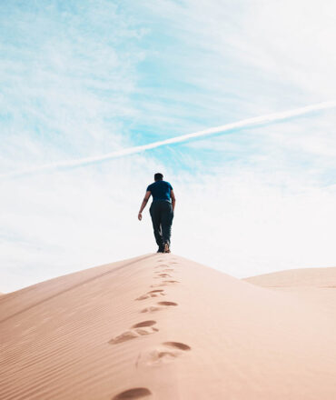 Journey through the Desert