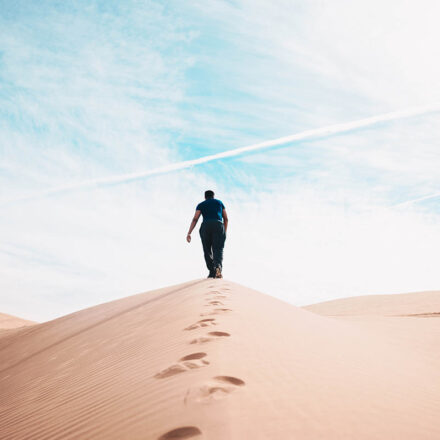 Journey through the Desert